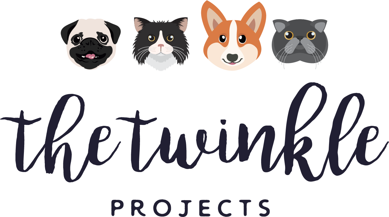 The Twinkle Projects